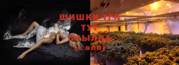 сатива Зеленодольск
