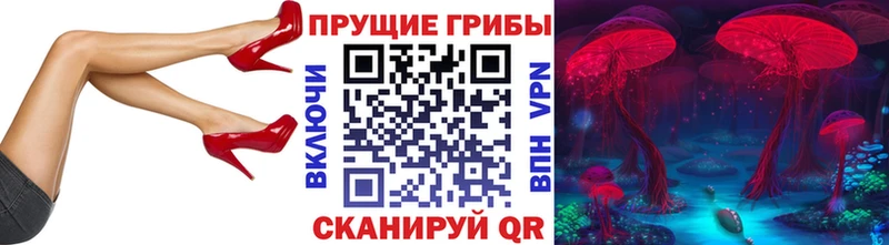 Псилоцибиновые грибы прущие грибы  Купить где  Коломна 